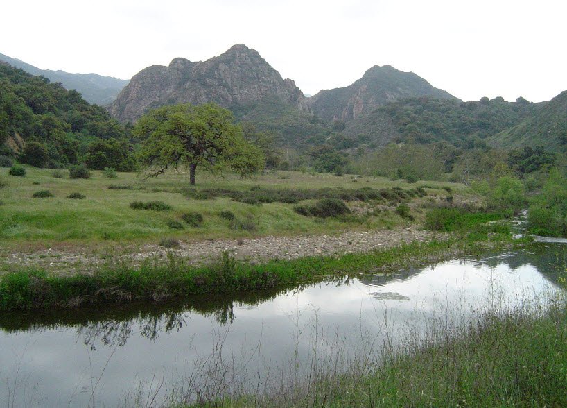 Malibu Creek State Park, California, USA